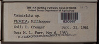 Image Associated With the Occurence